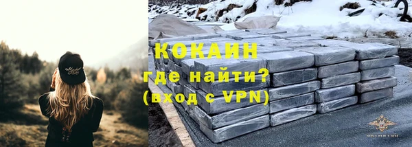 бошки Мегион