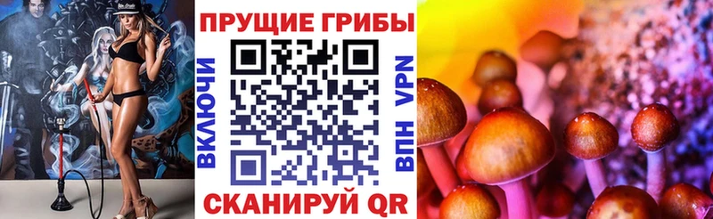 Галлюциногенные грибы Cubensis  Вышний Волочёк 